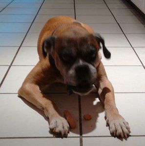 Meet your Posher, Doyce